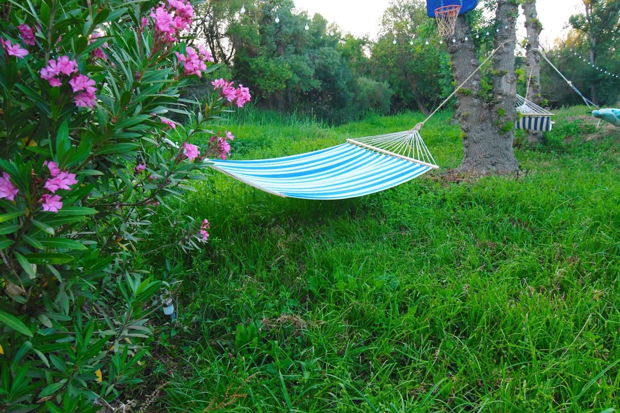 Moinho Da Capela Villa Campo Maior Ngoại thất bức ảnh