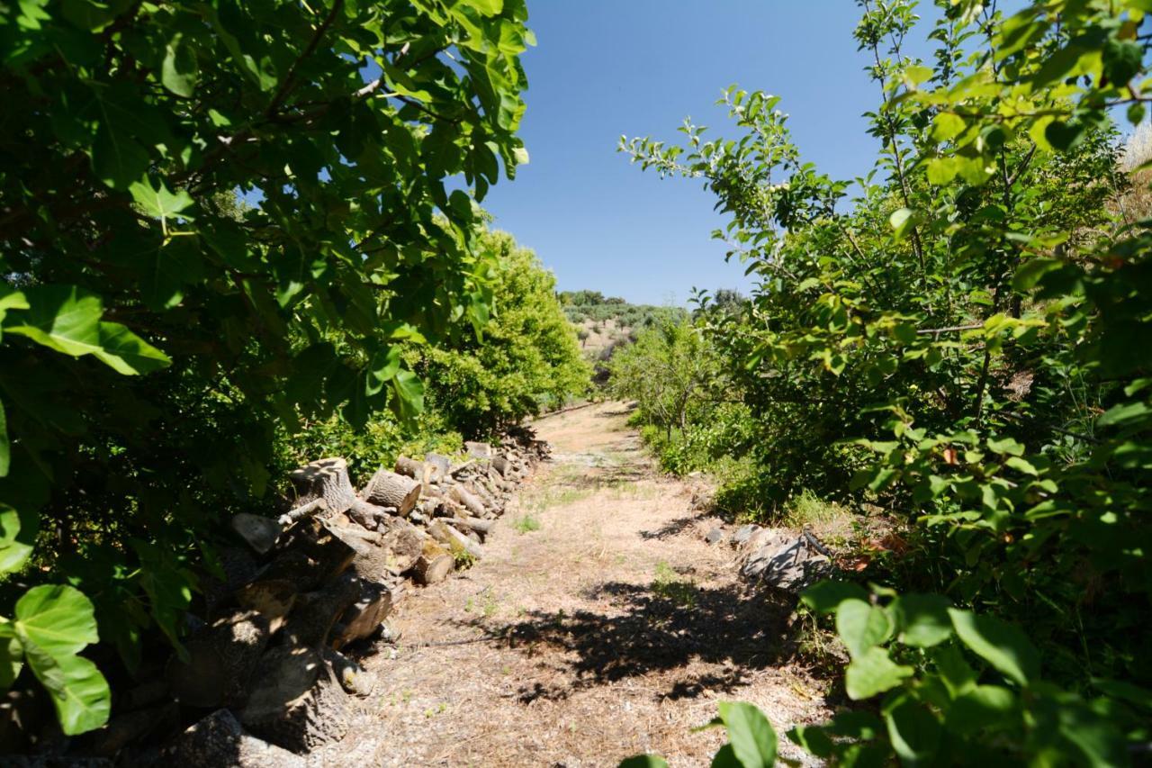 Moinho Da Capela Villa Campo Maior Ngoại thất bức ảnh